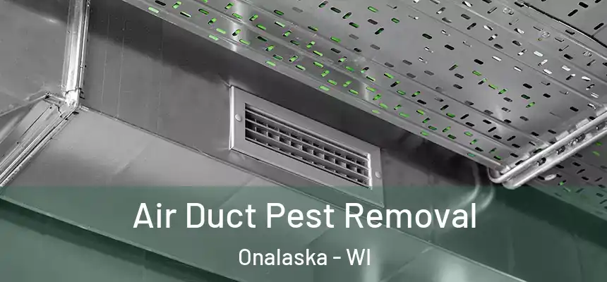  Air Duct Pest Removal Onalaska - WI