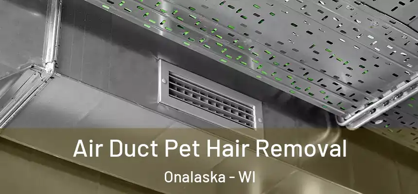  Air Duct Pet Hair Removal Onalaska - WI