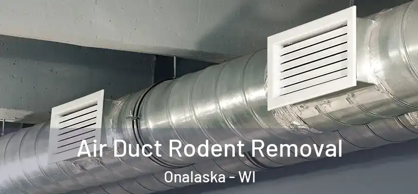  Air Duct Rodent Removal Onalaska - WI