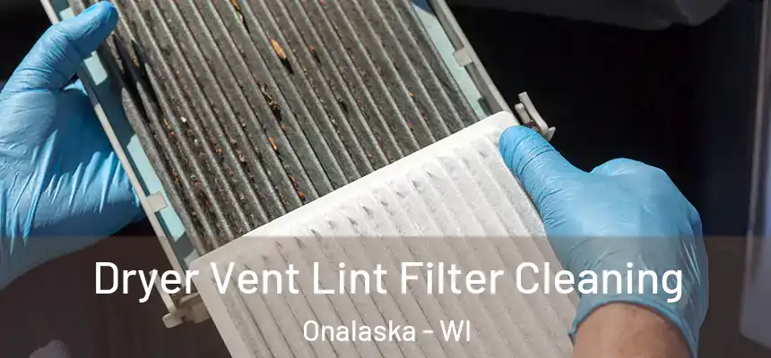  Dryer Vent Lint Filter Cleaning Onalaska - WI