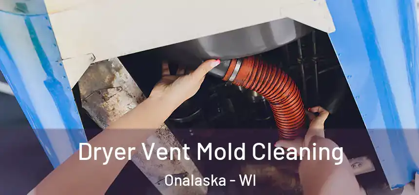  Dryer Vent Mold Cleaning Onalaska - WI