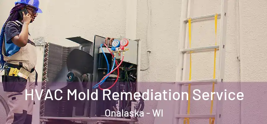  HVAC Mold Remediation Service Onalaska - WI