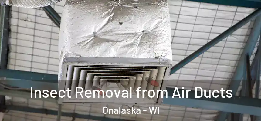  Insect Removal from Air Ducts Onalaska - WI