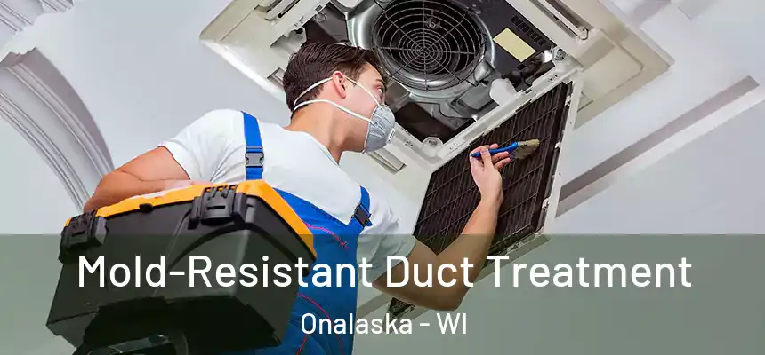  Mold-Resistant Duct Treatment Onalaska - WI