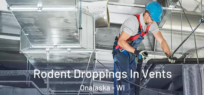  Rodent Droppings In Vents Onalaska - WI
