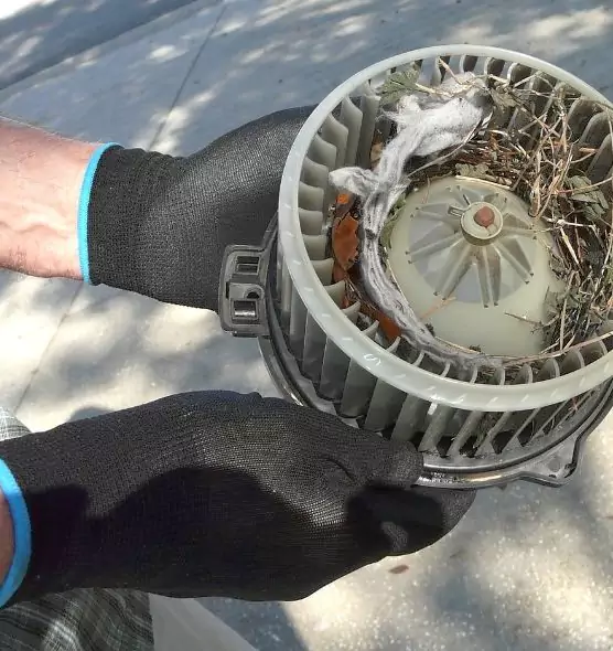 About Air Duct Mice Removal in Onalaska, WI