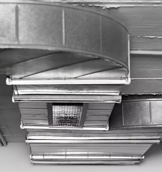 Professional Air Duct Pest Removal in Onalaska, WI