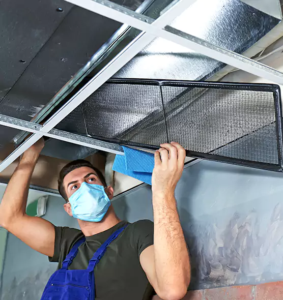 Professional Air Duct Pollen Cleaning in Onalaska, WI