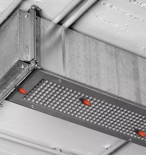 Affordable Insect Removal from Air Ducts in Onalaska, WI