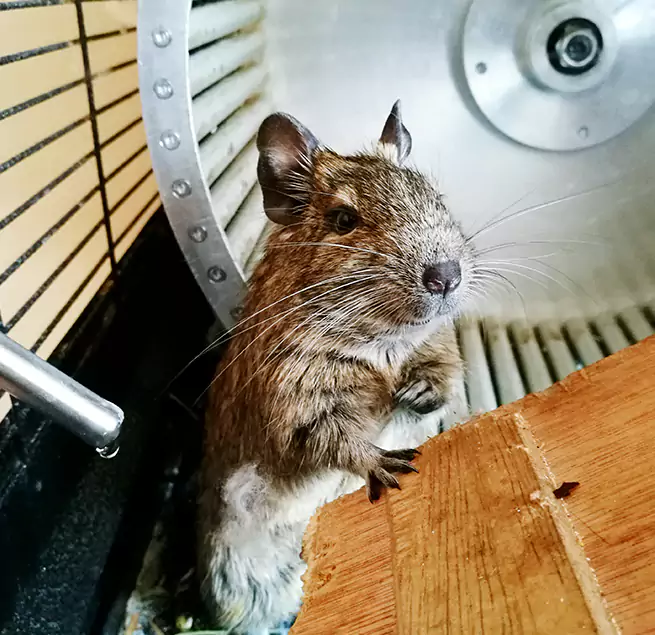 Why Homeowners & Businesses Trust Us Onalaska, WI?