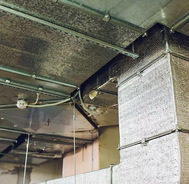 Why Homeowners & Businesses Trust Us in Onalaska, WI?